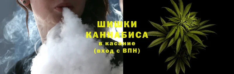 Марихуана SATIVA & INDICA  наркошоп  Новоалтайск 